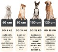 Pluszowe legowisko dla psa Chmurka - rozmiary