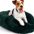 Pluszowe legowisko dla psa Chmurka Butelkowa zieleń