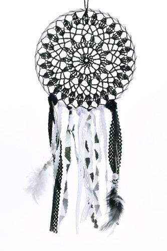 Lapacz snow krucza fala