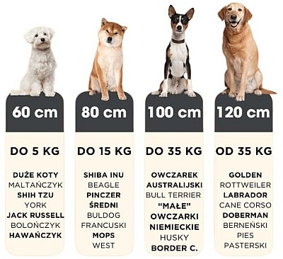 pluszowe-legowisko-wymiary